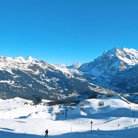 Abendrot Apartments-17 By Interhome Grindelwald