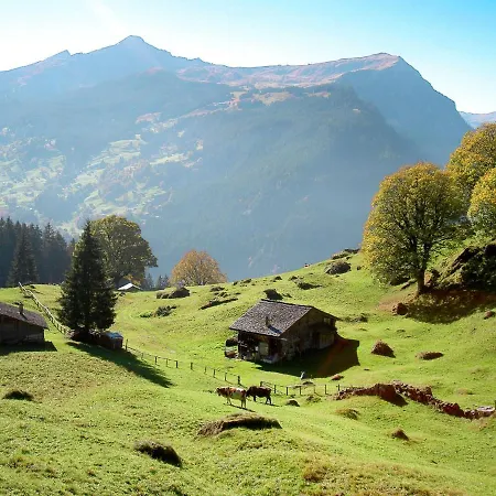 Abendrot Apartments-17 By Interhome 公寓 格林德瓦