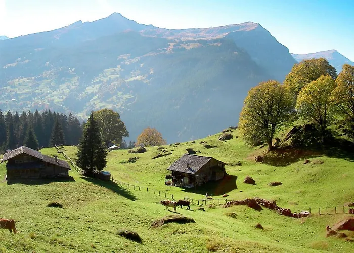 Abendrot Apartments-17 By Interhome Apartman Grindelwald